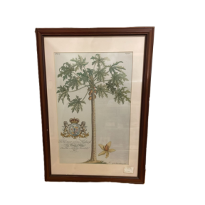 Quadro Árvore de fruto