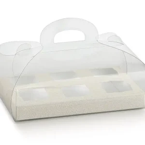 Caixa Transparente + Fundo 6 Quadrados 18,5x12x8 cm
